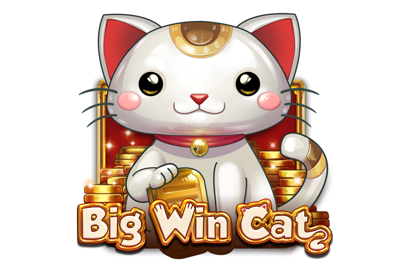 bigwincat slot